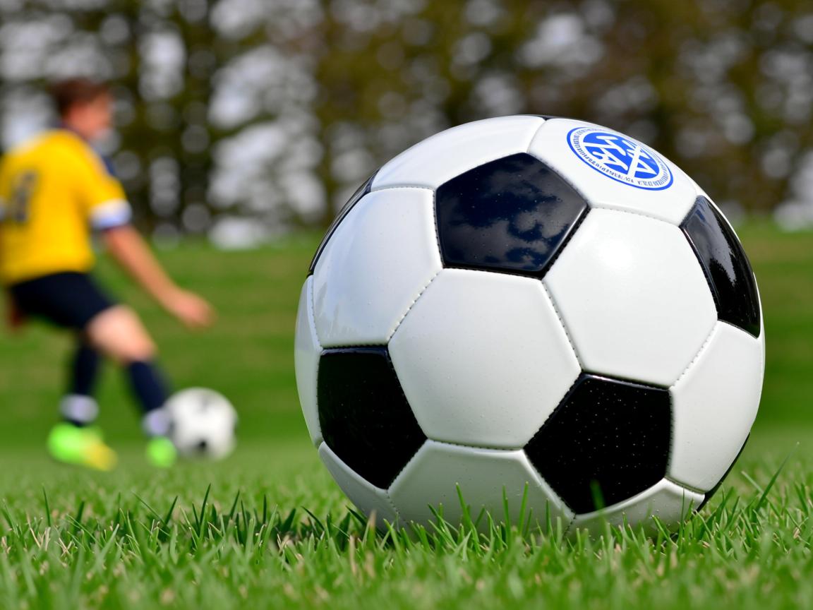 开云体育在线登入-中国女篮战术执行力显著增强，中国女篮战绩如何