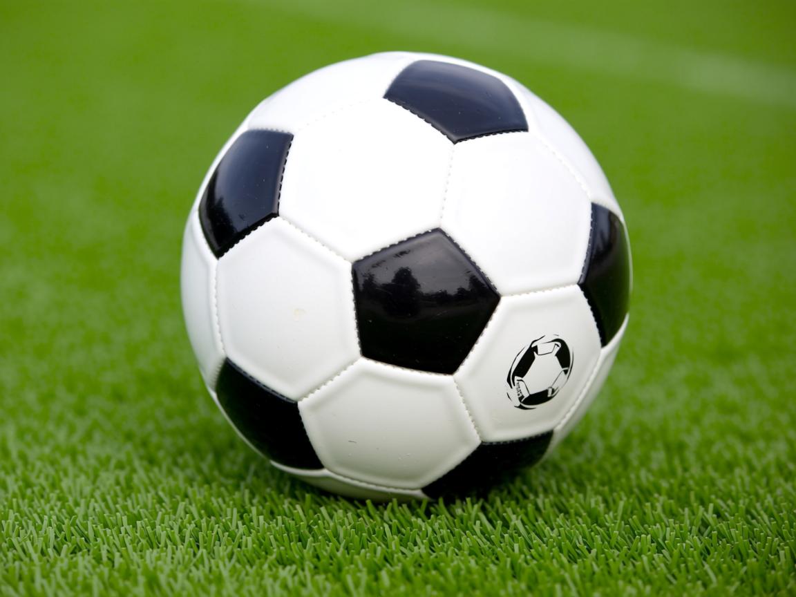 开云体育官网app-国际乒联混合团体世界杯：聚焦中国香港队的表现与经验，香港队乒乓球比赛  第2张